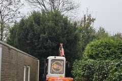 Tuin project Alkmaar